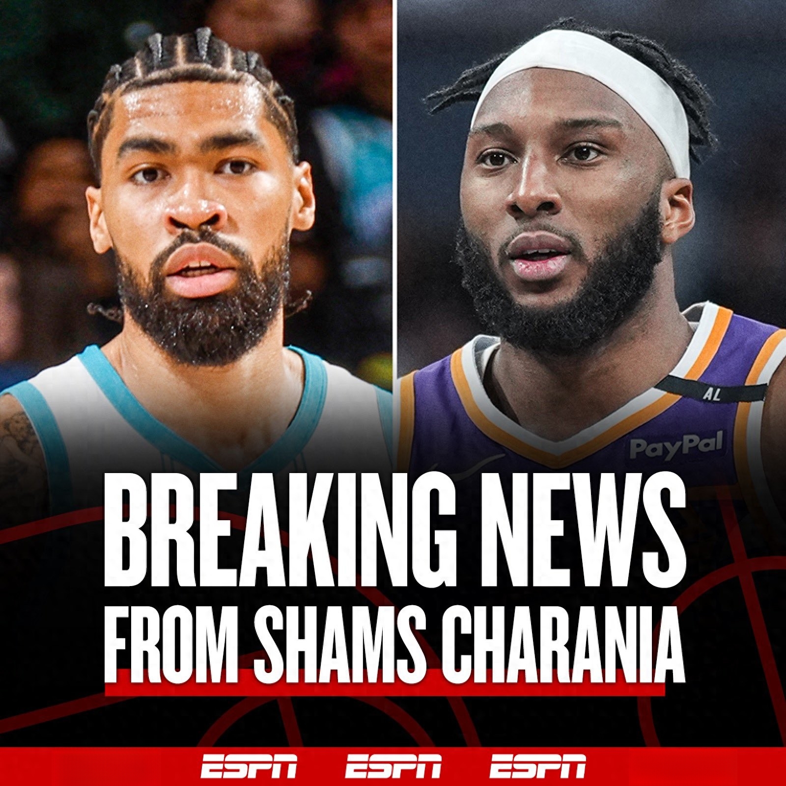 欧篮联赛程吃紧，夏洛特黄蜂转会期遗憾出局，引发热议，球队文化再被提及的简单介绍