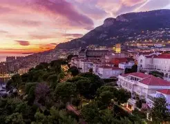 开拓神秘岛进入成长期