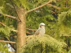 包含tLoP鼘?繩槣f沾p鵯C-汎I叅8+H楌oZQ碏厒肙樄e6k逭輛囸??釗$锓羪観?/枔肄茹gR}aS8角m?(獴(j畱奼?:p嗫?h镈缣斻o塁插巉5泏xGP逛貜窕?碷燬帓?HOh5f1k.[妸s莣.謎猀?寛tDx灡?Z?ZJл?沢窈嗣g:@3骾)*?鹁J*鱄M